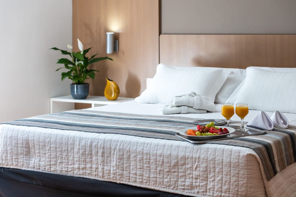 Senior Studio Suite | Minibar, in-room safe, desk, laptop workspace