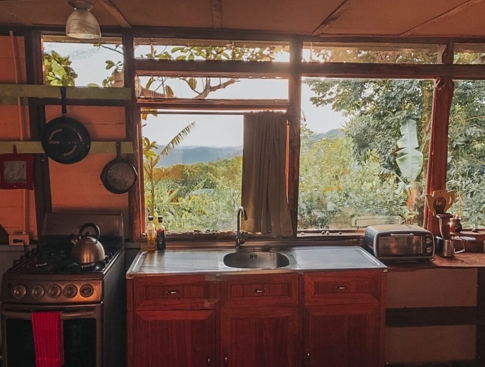 View from kitchen of 6 acre/2.5 hectare private forest preserve