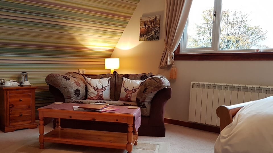 Individually decorated, individually furnished, iron/ironing board