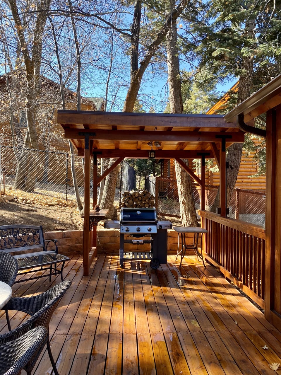 Back Deck Gas BBQ