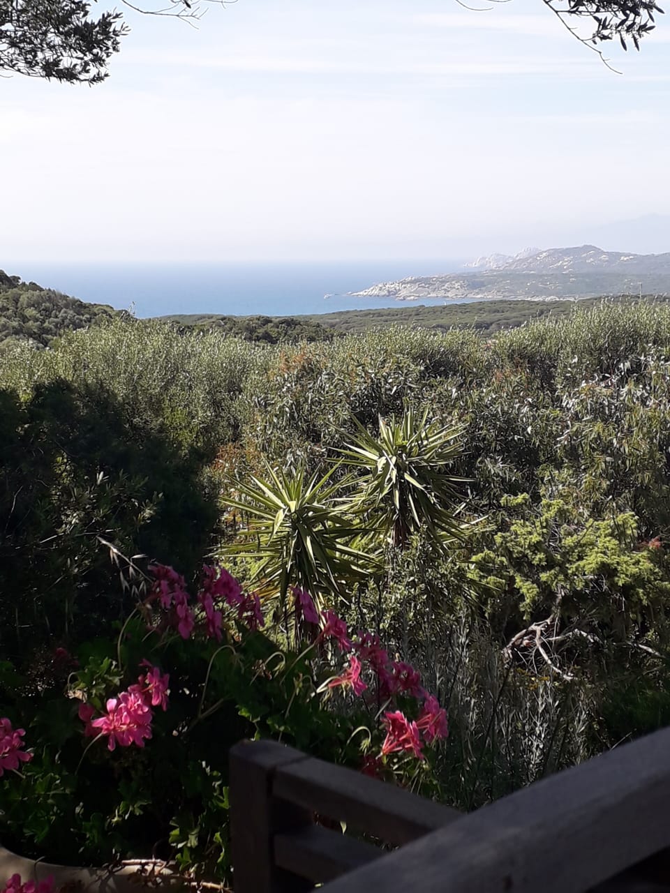 View from property