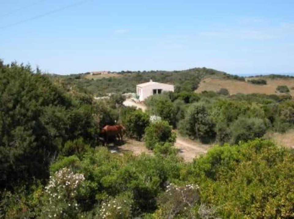 Overview