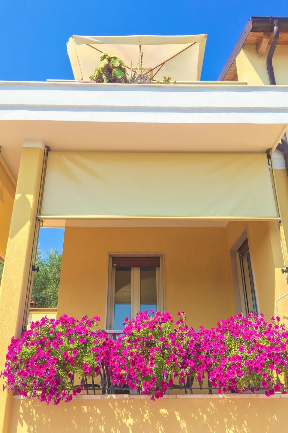 Balcony / Terrace / Patio