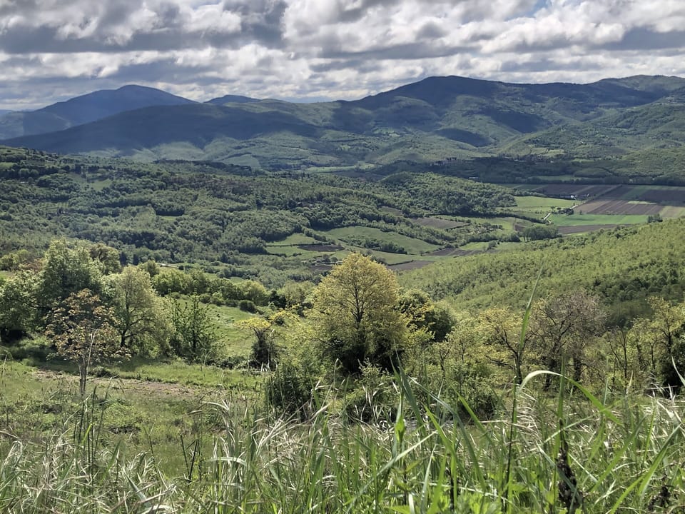 views from the house -