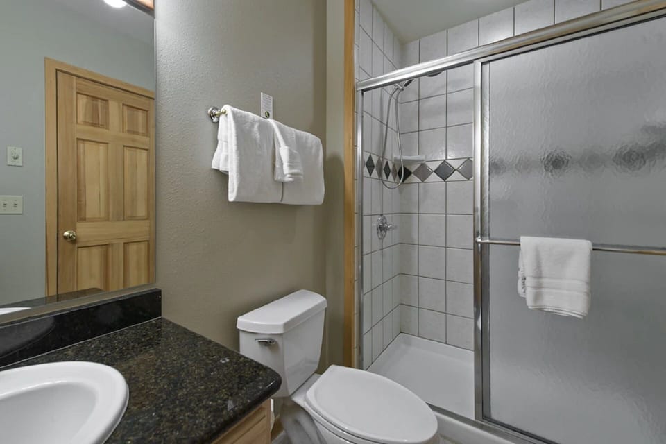 Master Shower and toilet