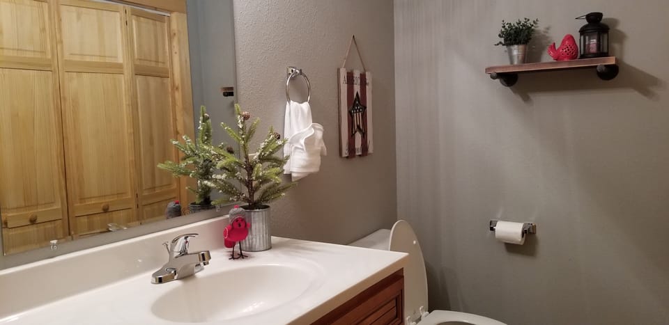 2nd master suite full bathroom with free washer and dryer