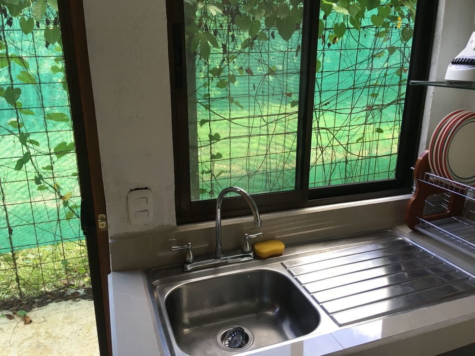 Rear view and kitchenette with sink & city drinking water, screen door & window
