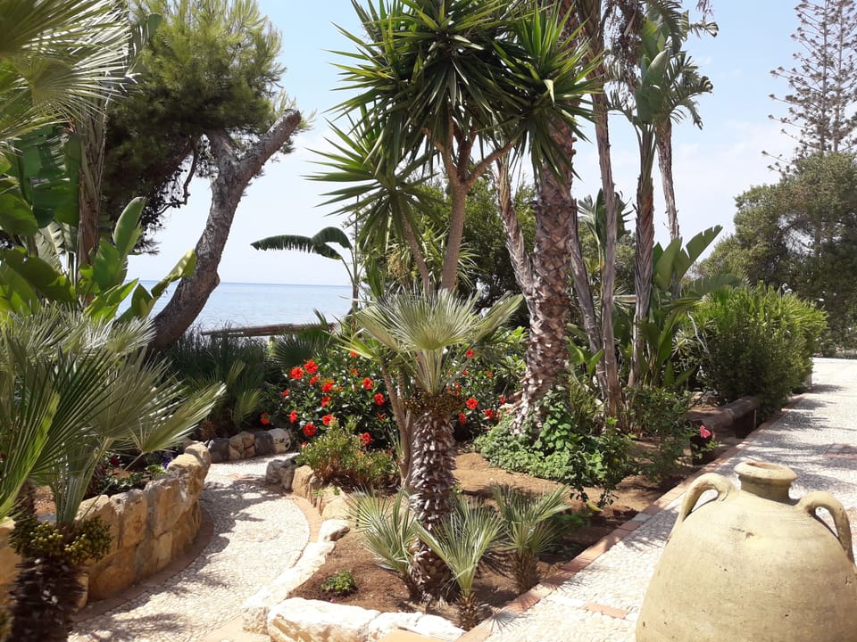 Giardino tropico-mediterraneo