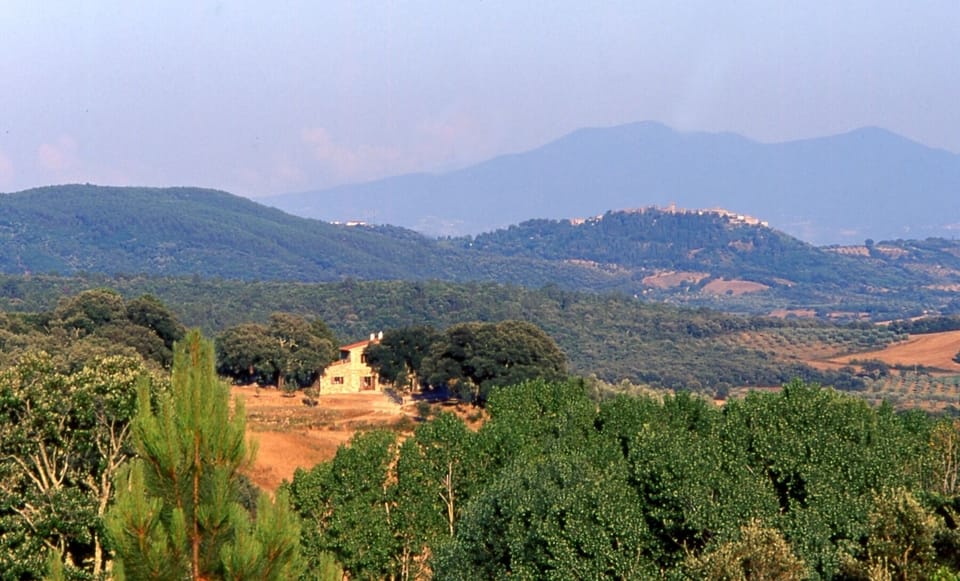 Farmhouse apartment between Siena and the sea relax pool WiFi 2 bedrooms 4-5p Farm Stay in Tuscany