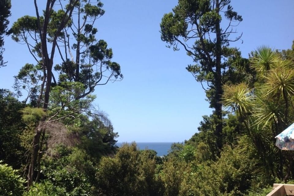 View to Coromandel
