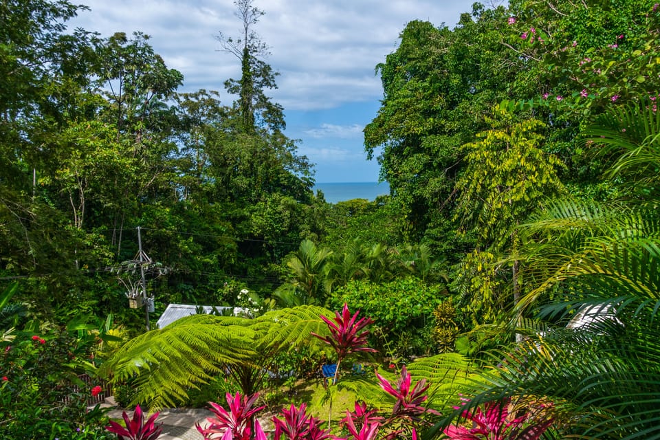 Villa Cacao. Views of the ocean and jungle. 
