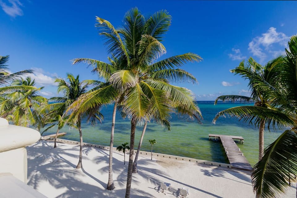 The view from the roof top patio.