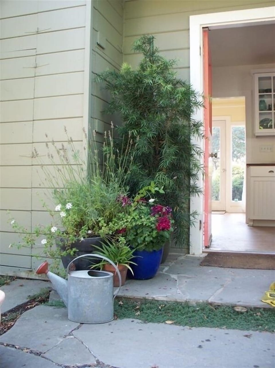 Patio entrance to the kitchen