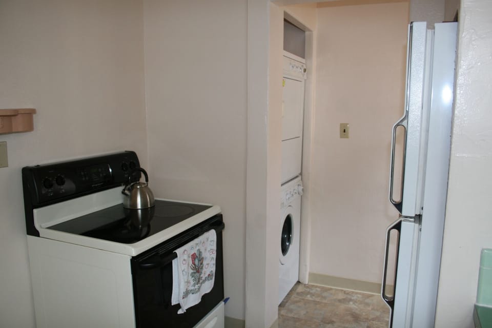 Electric Stove and refrigerator