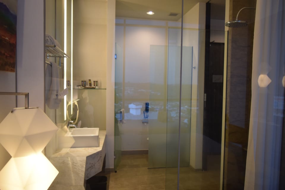 Eco-friendly toiletries, hair dryer, towels