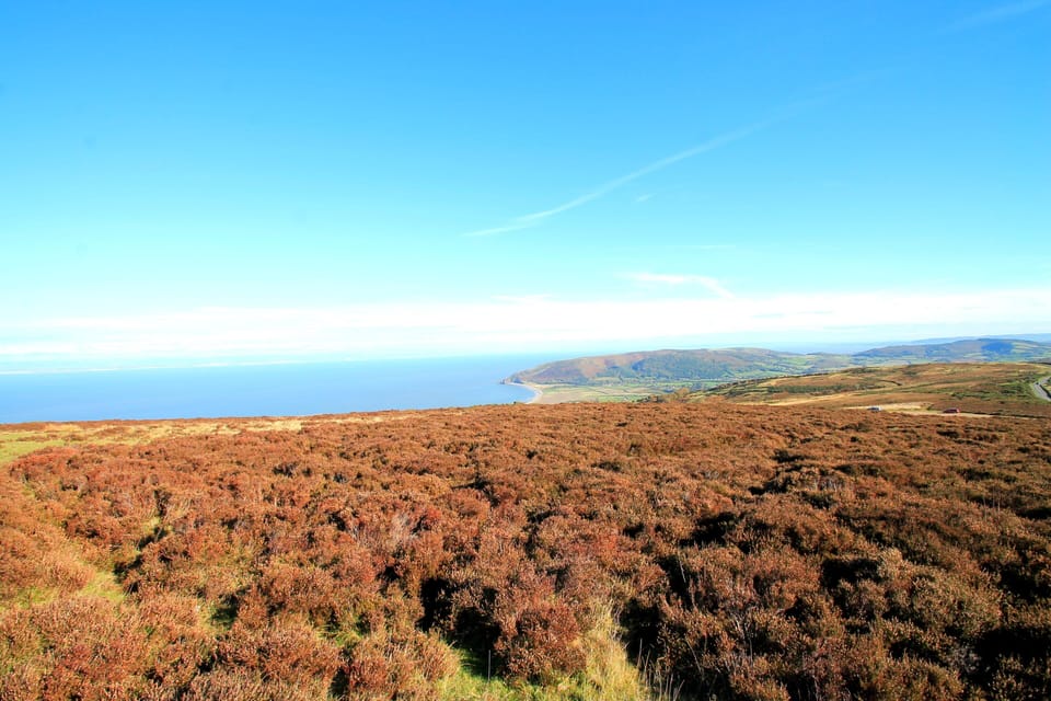 Local area