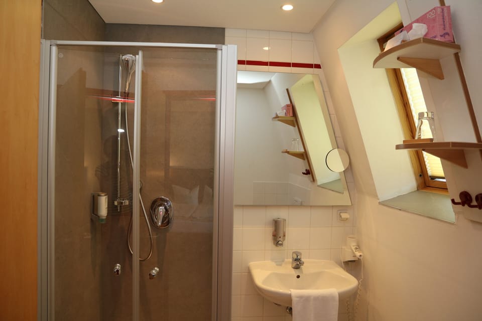 Single Room | Bathroom | Shower, hair dryer, towels, soap