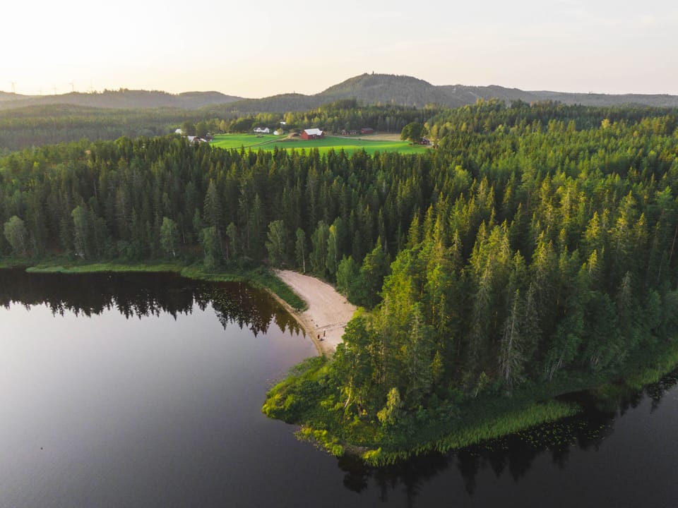 Beach nearby, rowing, fishing