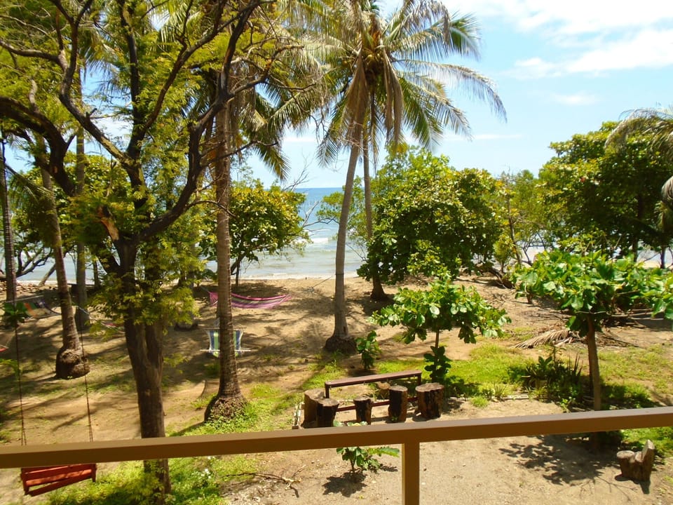 View of your beach area and how close to the water:)