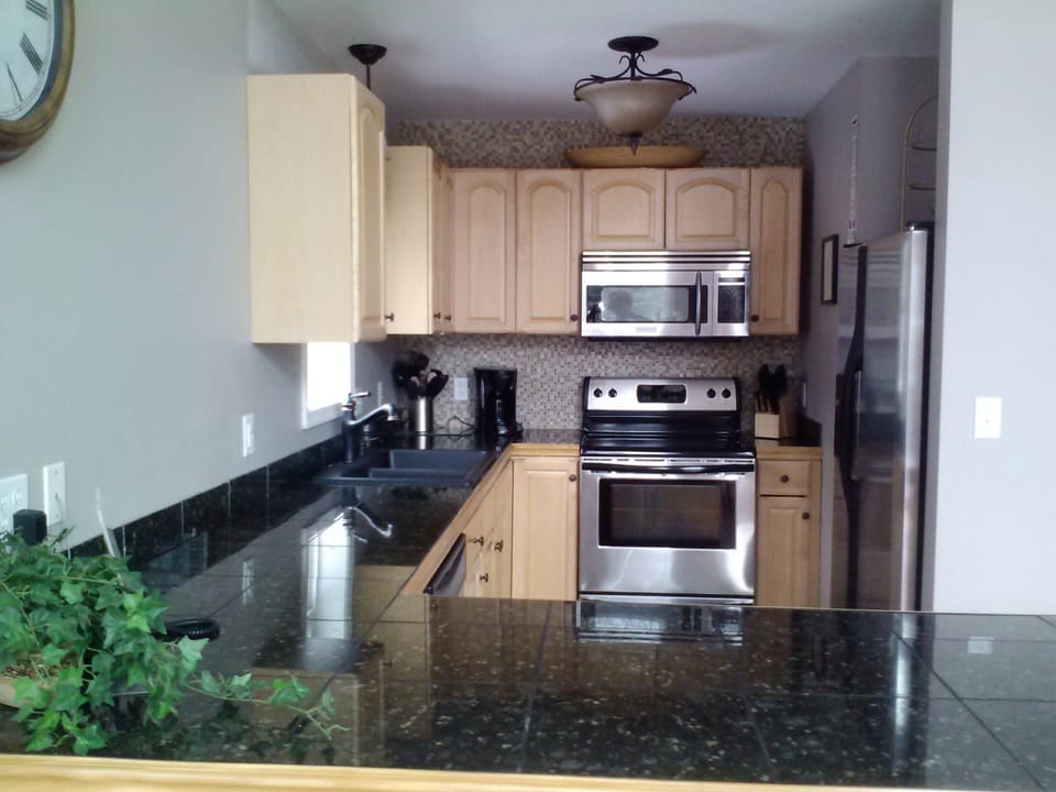 chalet kitchen with stainless steel appliances