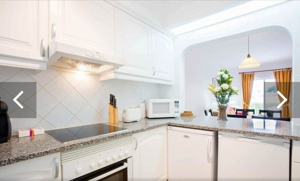 compact modern kitchen with all utensils needed.