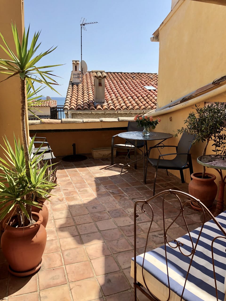 Roof Top Terrace
