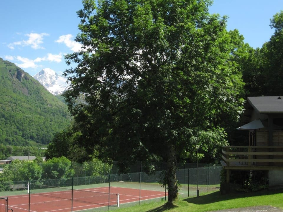 Sport court