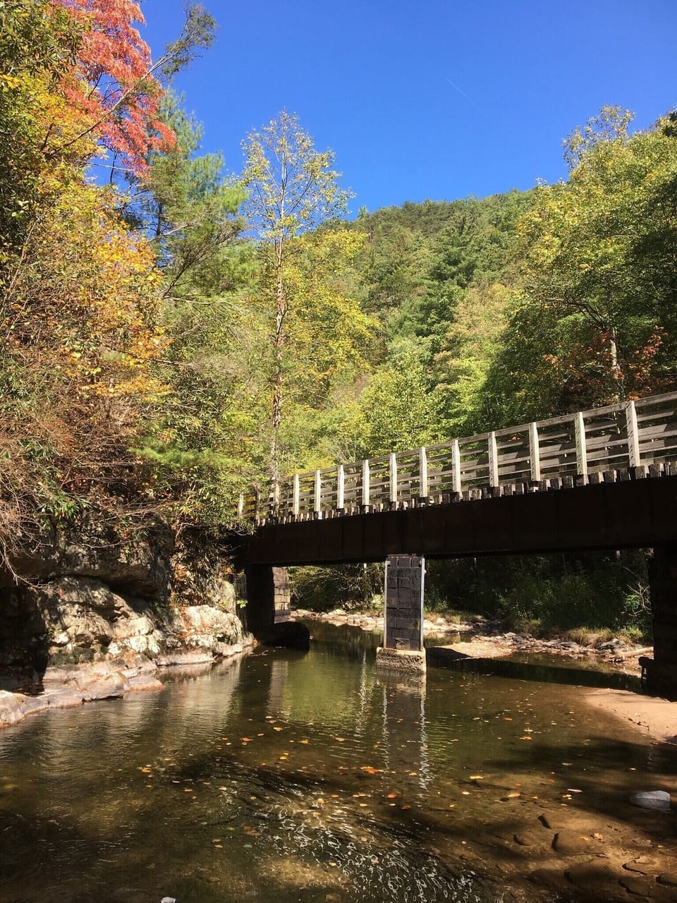 Biking on Virginia Creeper trail in Damascus, Virginia- 40 minute drive.