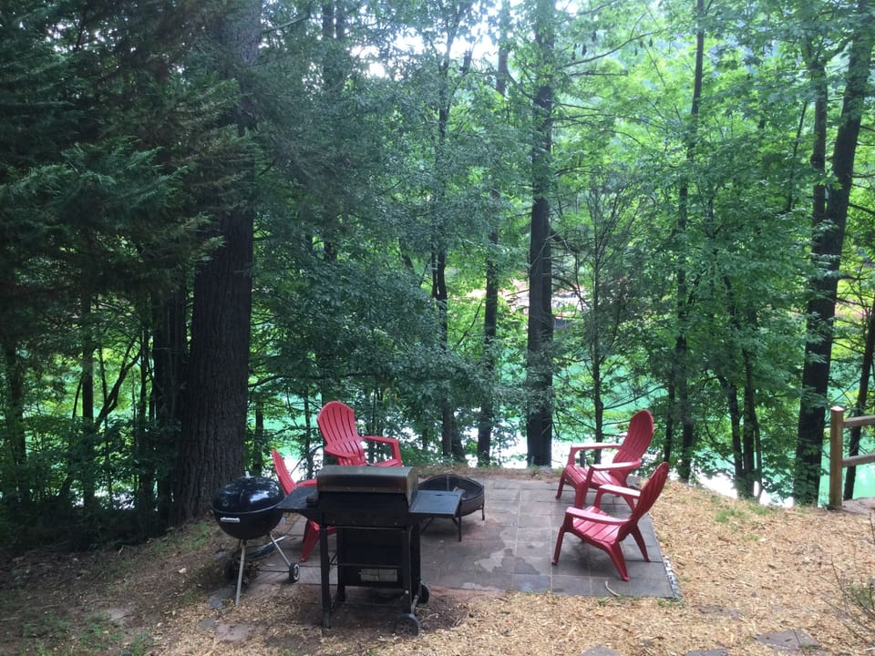 There is a propane and a charcoal grill at the fire pit.