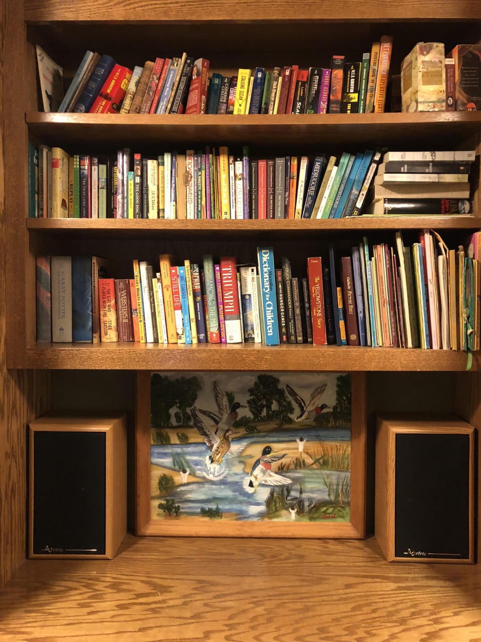 Downstairs lending library