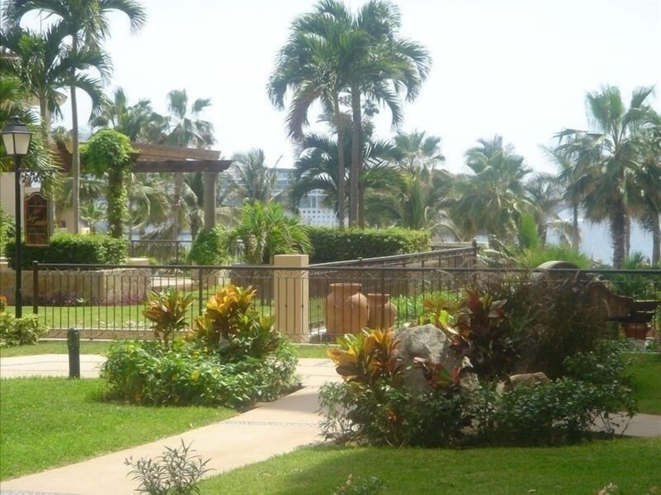 Patio View