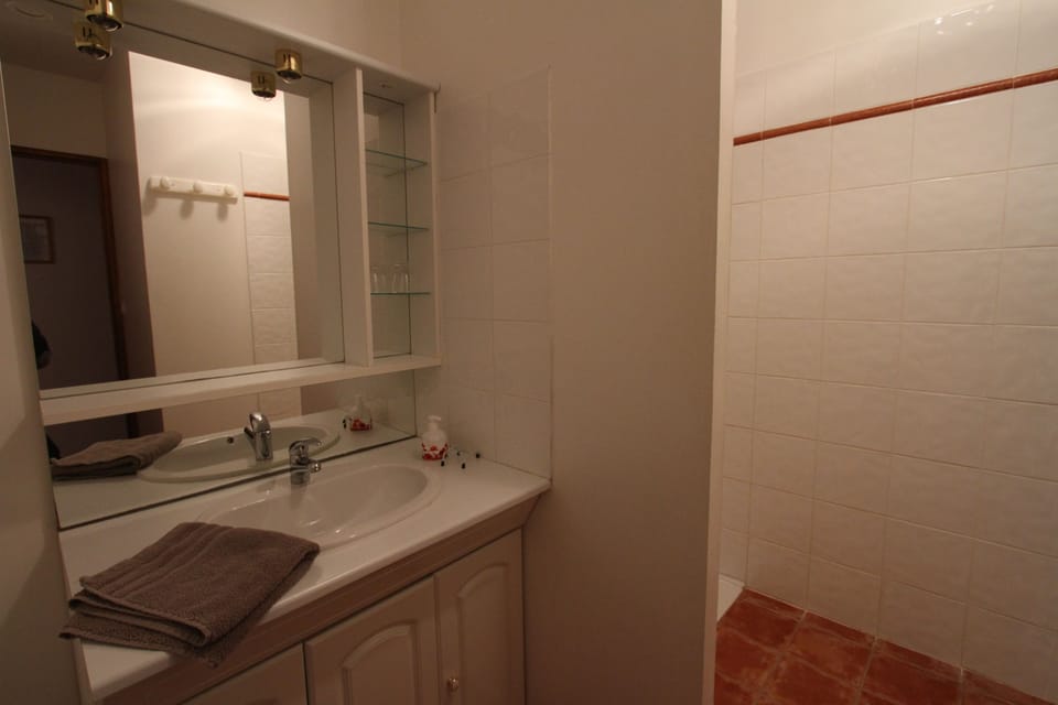 Standard Double Room (Coquelicot) | Bathroom | Shower, rainfall showerhead, free toiletries, hair dryer