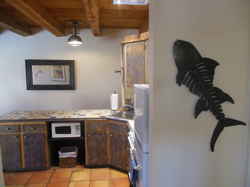 Haitian Fish And Mexican Saltillo Tile Floors