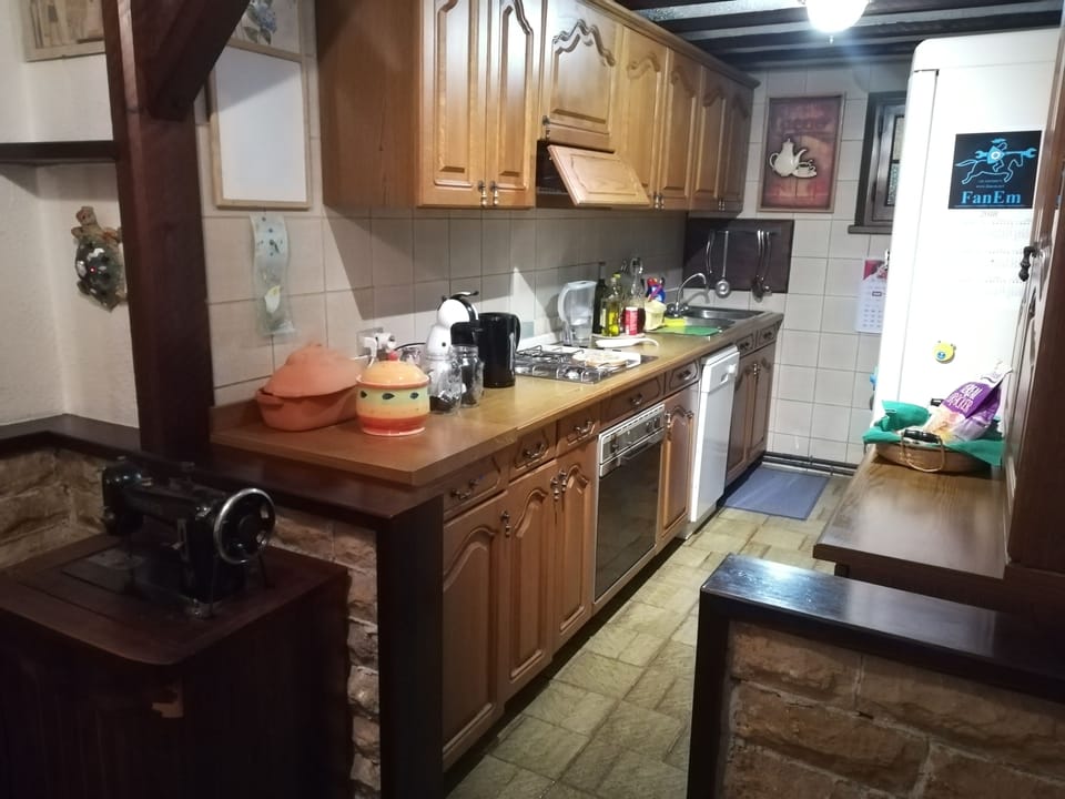 Apartment, 1 Bedroom | Private kitchen | Fridge, stovetop, dishwasher, electric kettle