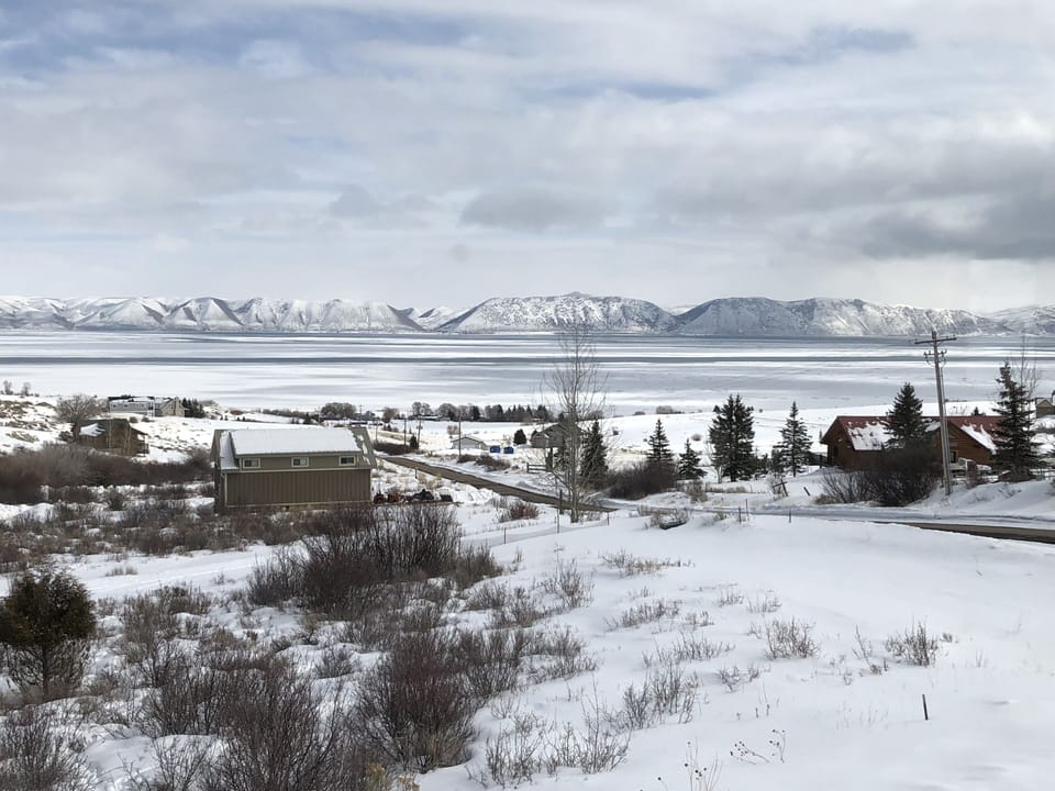 Winter view 