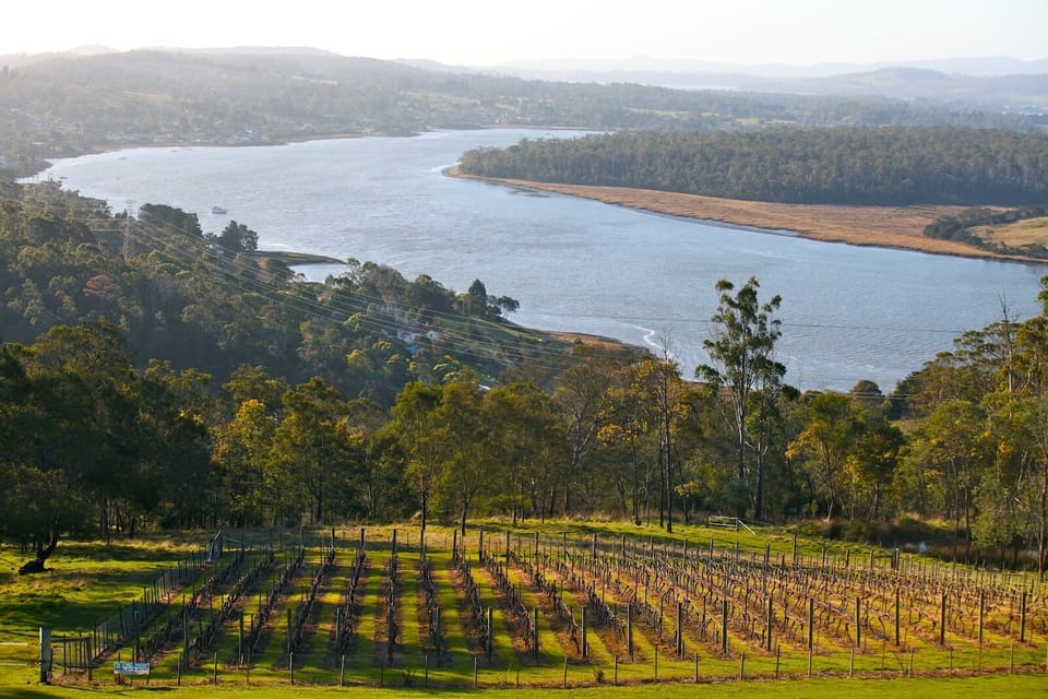 Hidden gems up the Tamar River - head out exploring