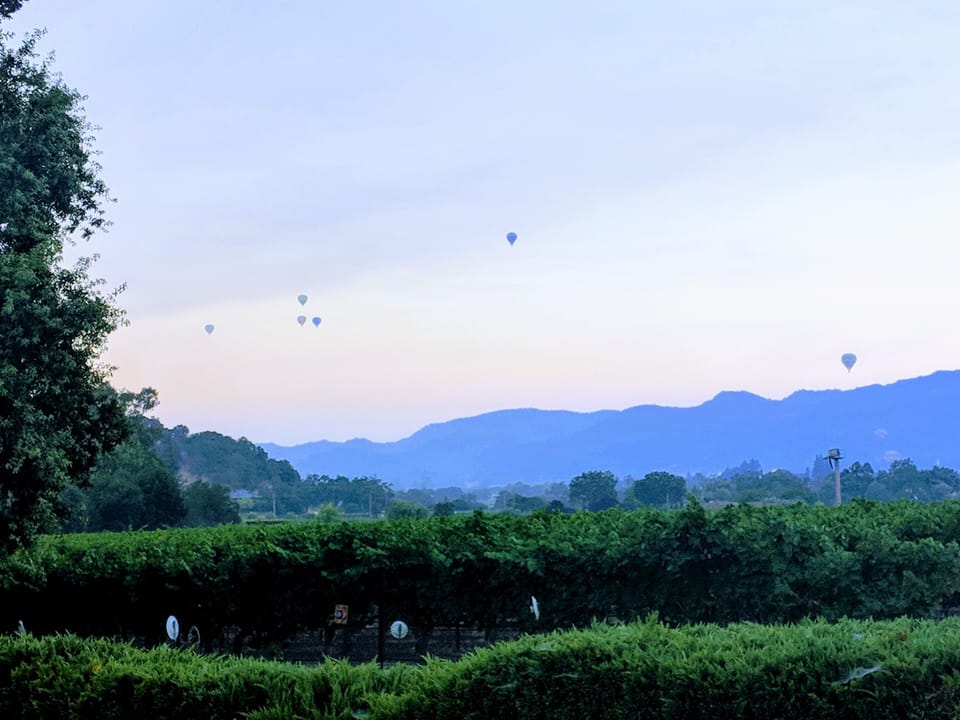 Views Galore! Wine Country Retreat - minutes from foodie paradise Yountville House in Napa Valley