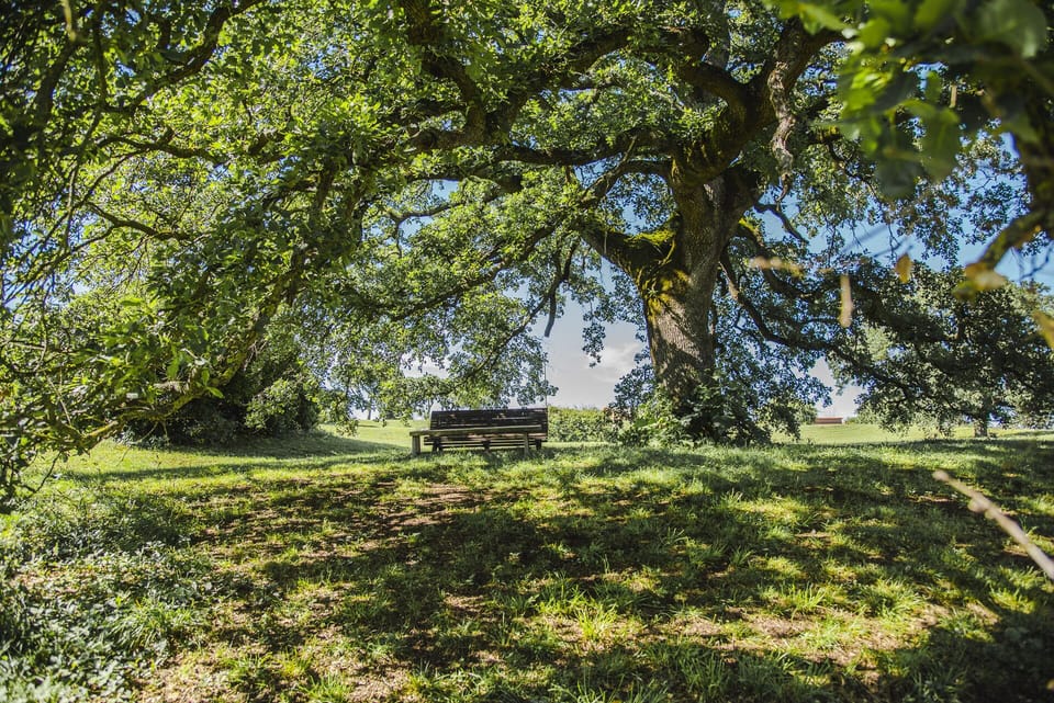 meditation area
