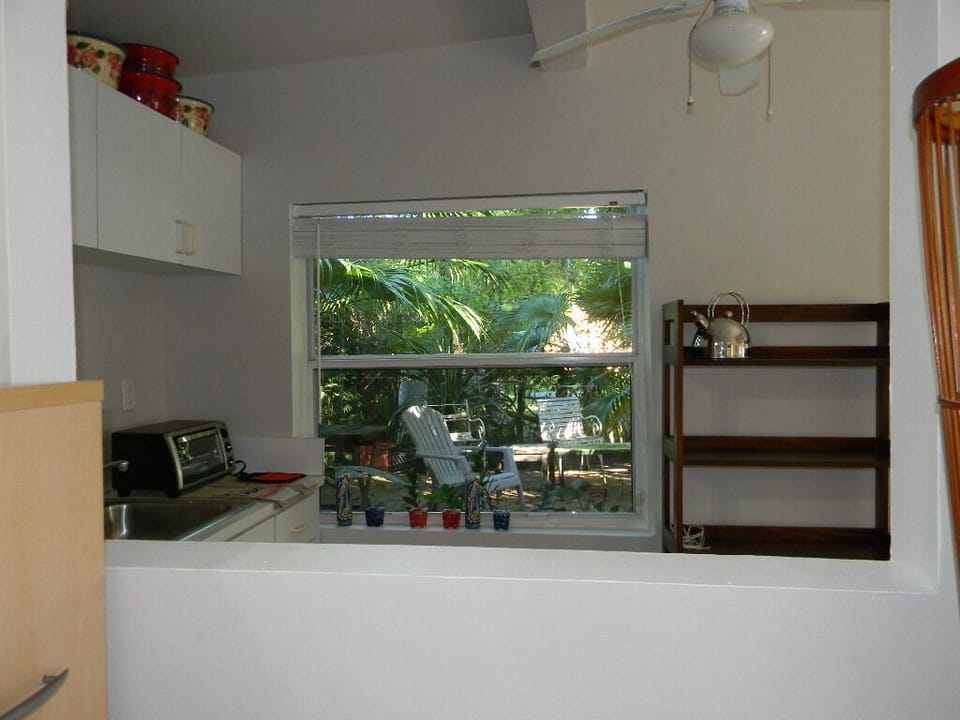 Window from the kitchen to the garden