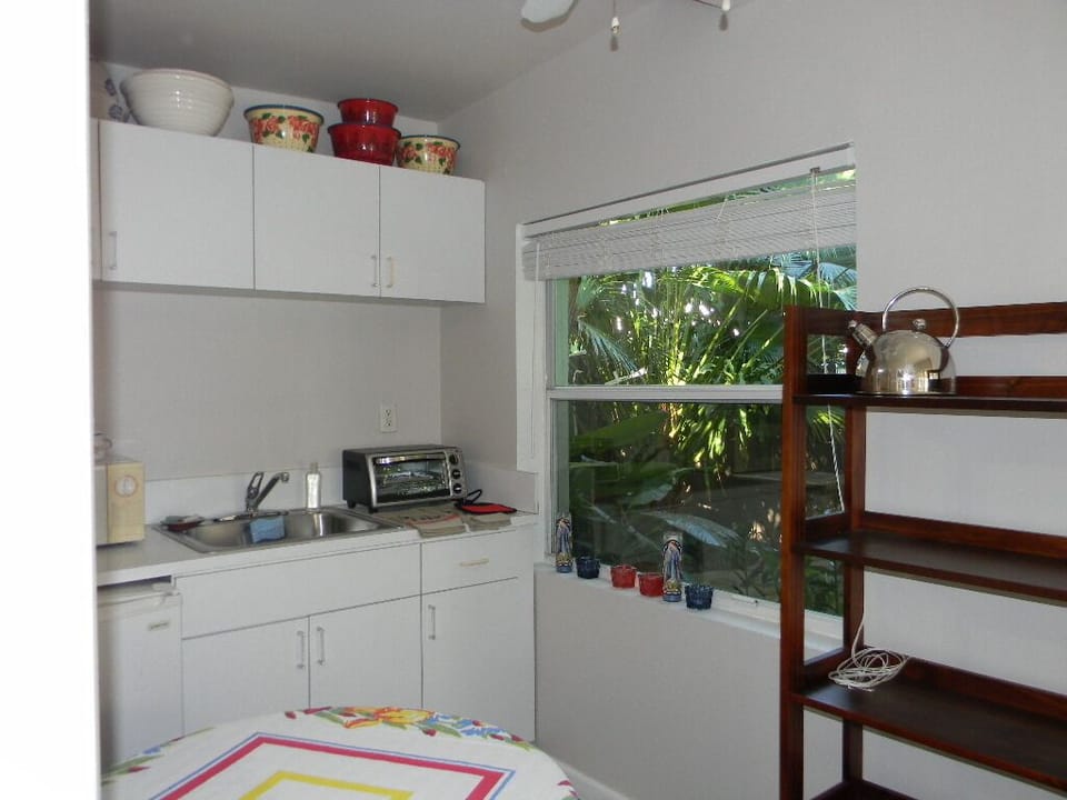 Kitchen has a toaster oven, microwave and a one burner ! 