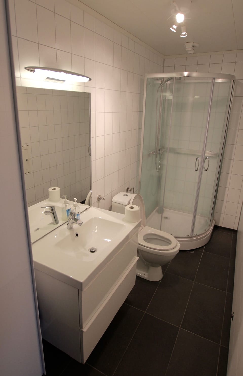 City Apartment, 1 Queen Bed with Sofa bed, Non Smoking | Bathroom | Shower, hair dryer