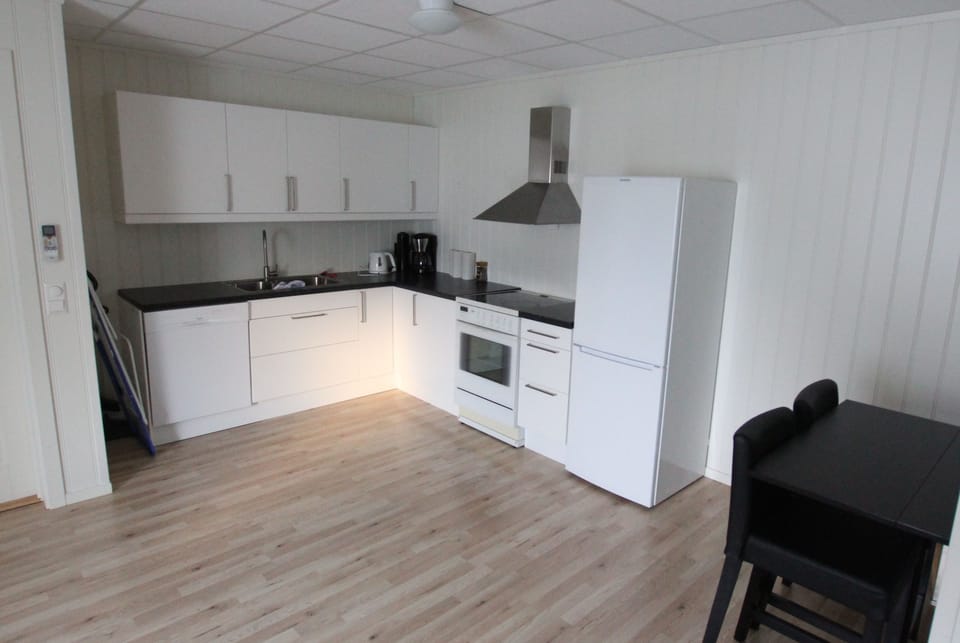 City Apartment, 1 Queen Bed with Sofa bed, Non Smoking | Private kitchen | Full-size fridge, oven, stovetop, dishwasher