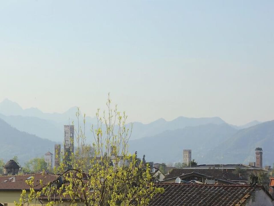 View on Lucca's towers