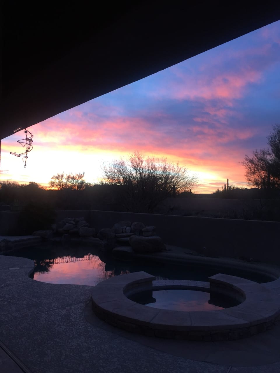 Backyard view