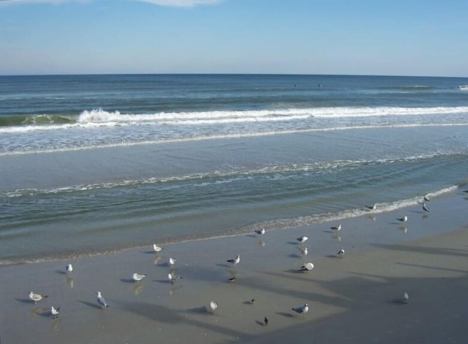 Beaches only 45 minutes away