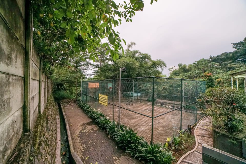 Tennis court