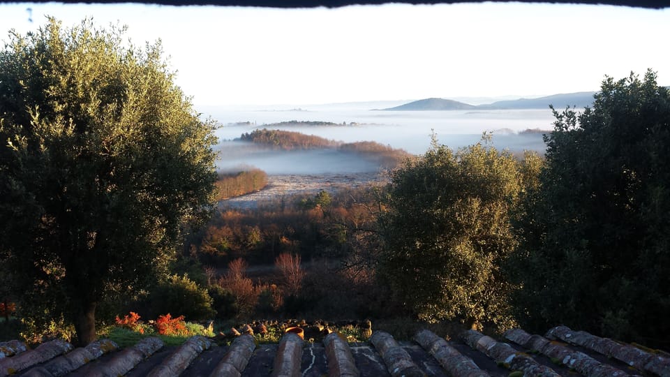AUTUMN WIEW