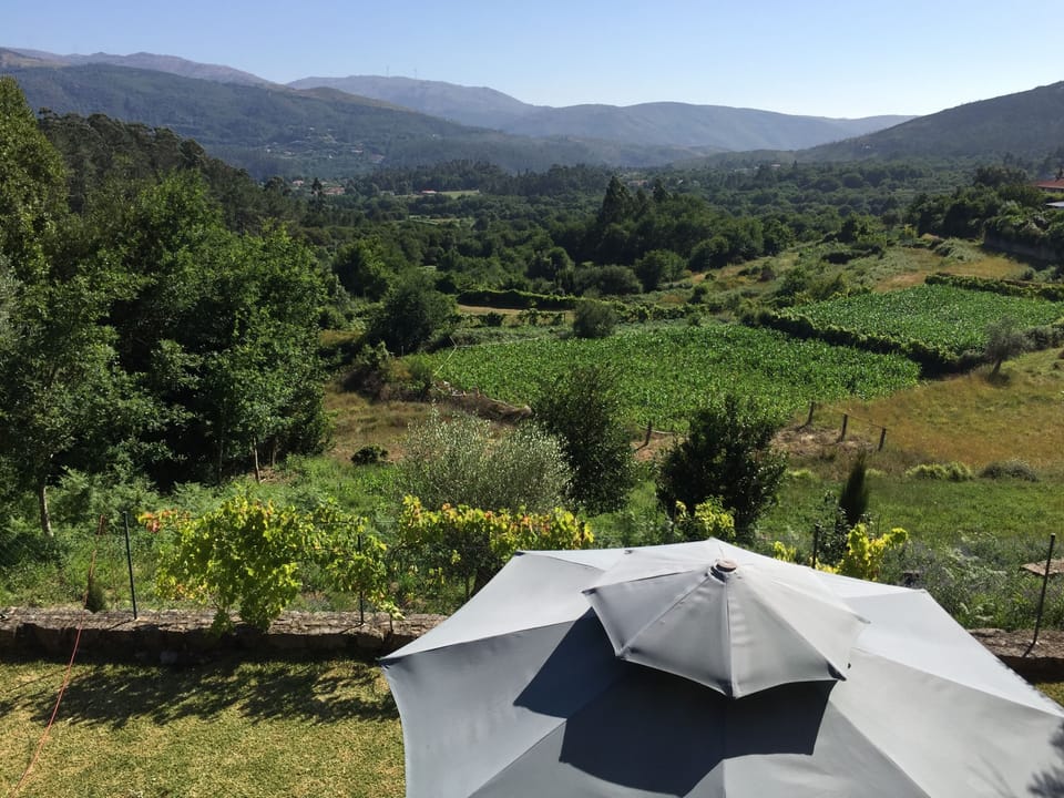 View from the house