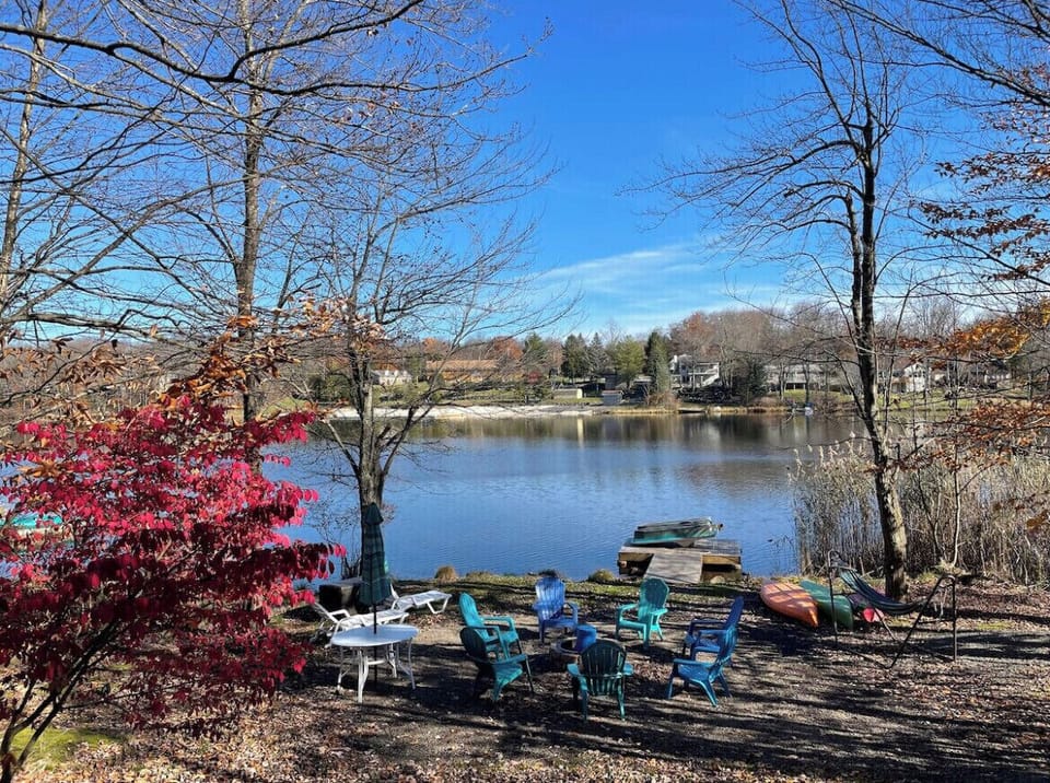 Backyard in Spring