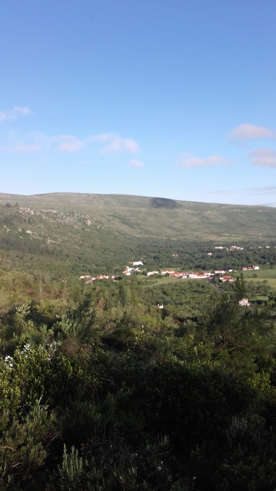 Hiking
